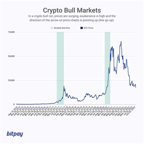 Crypto Asset, Bull Market, Block explorer
